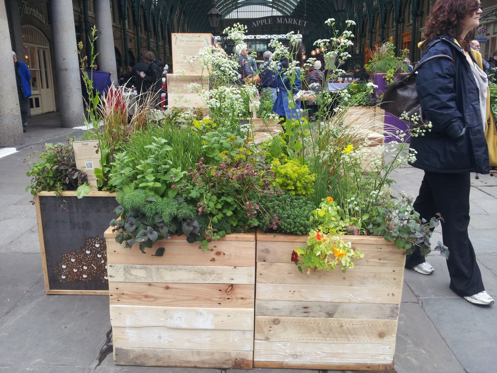 Chelsea Flower Show